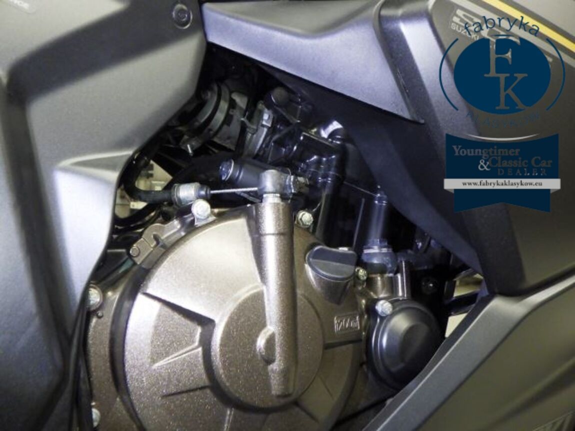SUZUKI JIKUSA-250SF - zdjęcie 9