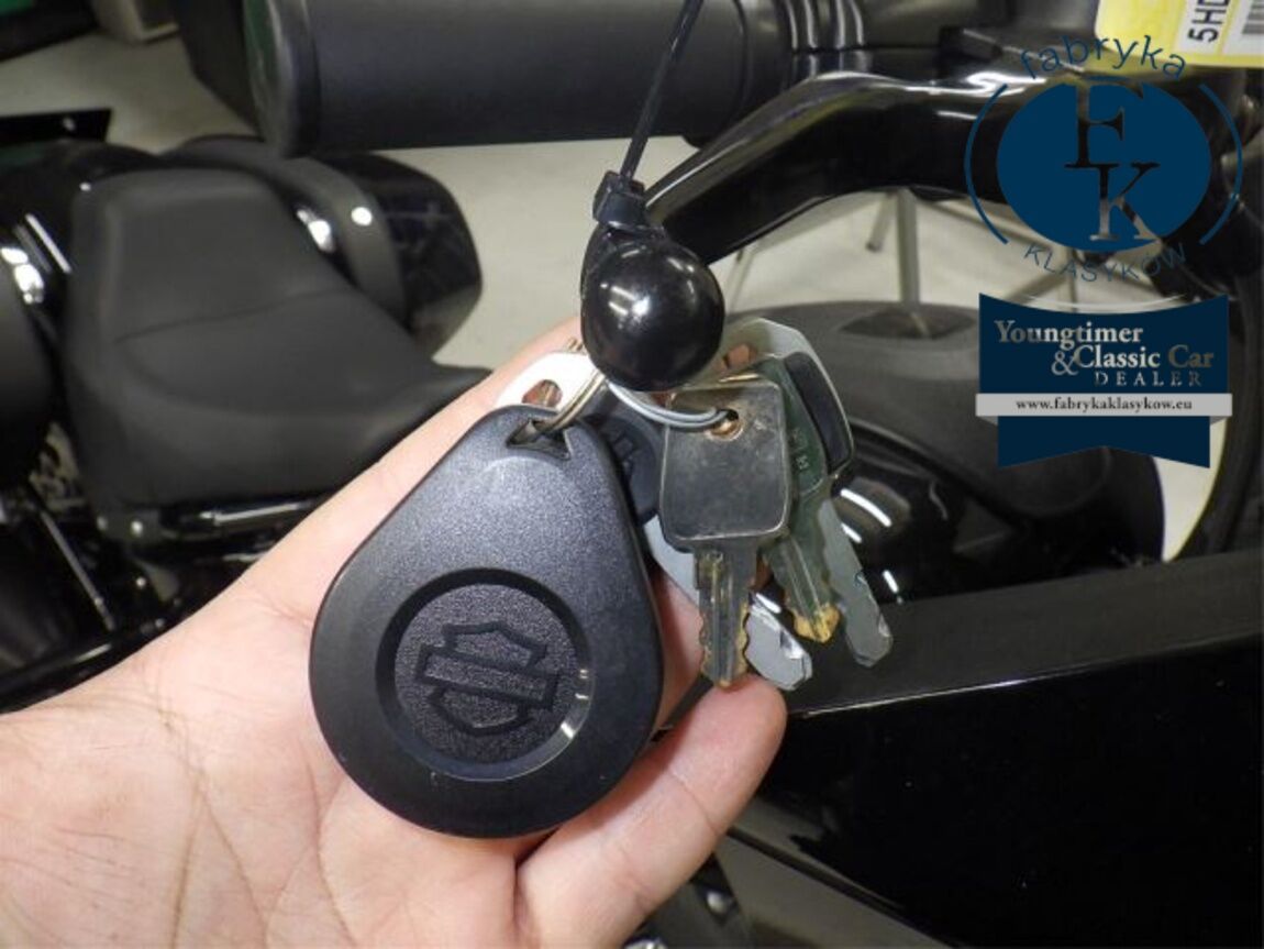 HARLEY-DAVIDSON FXLRST1920 2024 - zdjęcie 14
