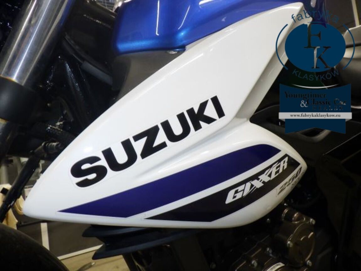 SUZUKI JIKUSA-250  - zdjęcie 16