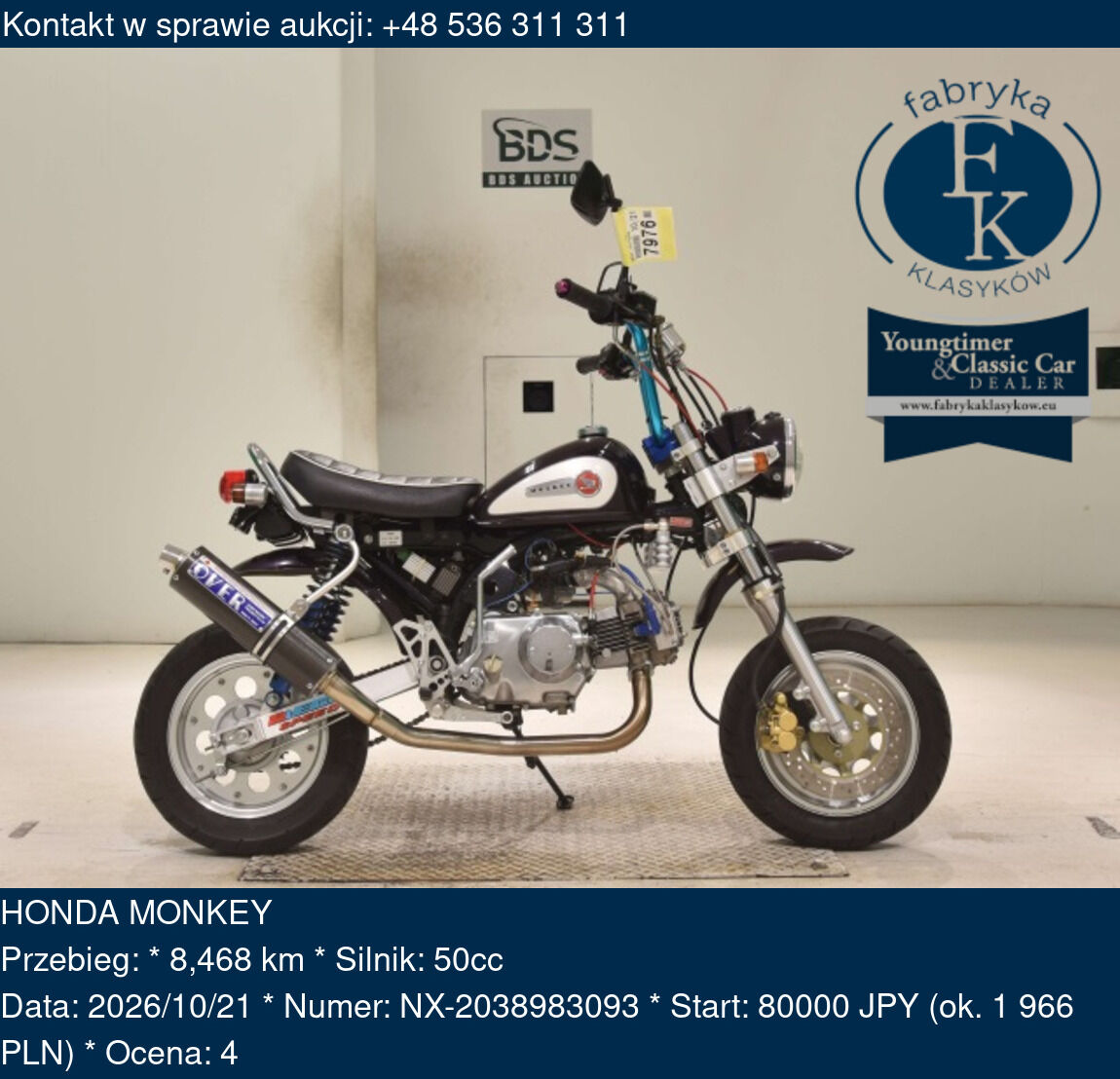 HONDA MONKEY  - zdjęcie 2