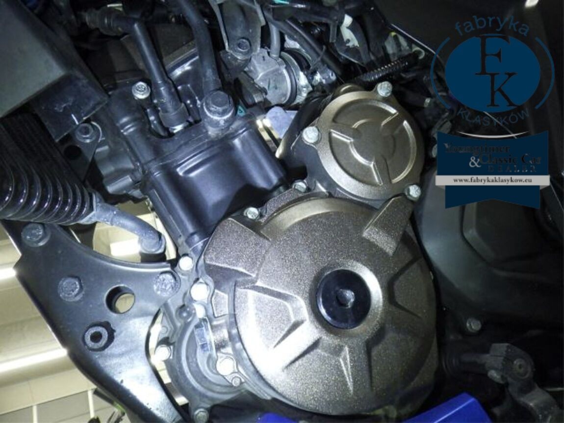 SUZUKI JIKUSA-250  - zdjęcie 12