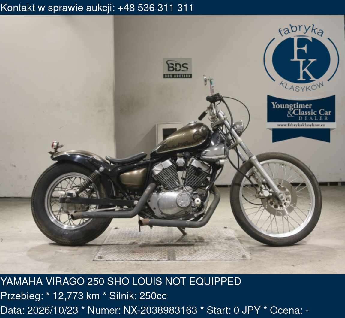 YAMAHA VIRAGO 250 SHO LOUIS NOT EQUIPPED  - zdjęcie 2