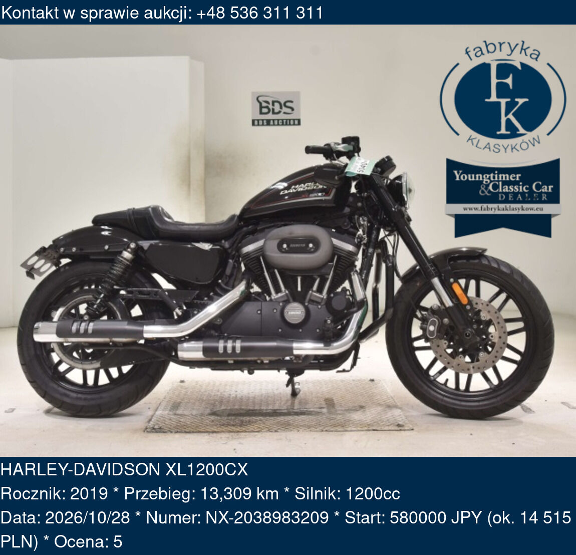 HARLEY-DAVIDSON XL1200CX 2019 - zdjęcie 2