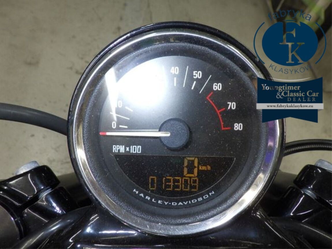 HARLEY-DAVIDSON XL1200CX 2019 - zdjęcie 15