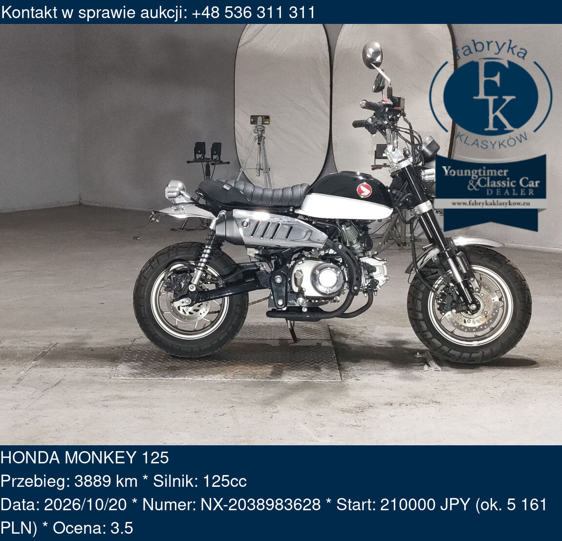 HONDA MONKEY 125  - zdjęcie 2