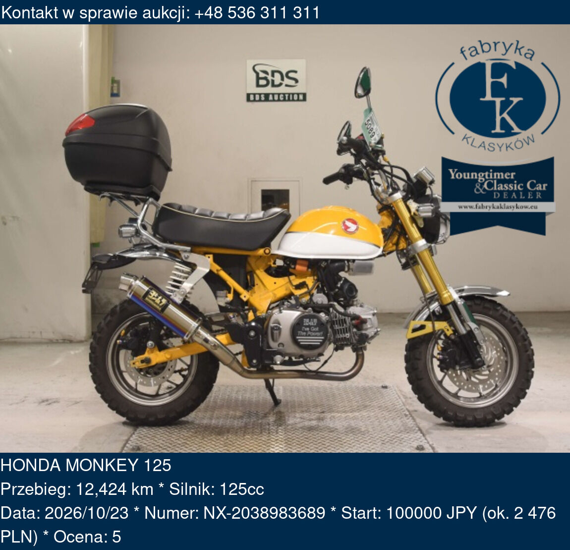 HONDA MONKEY 125 - zdjęcie 2