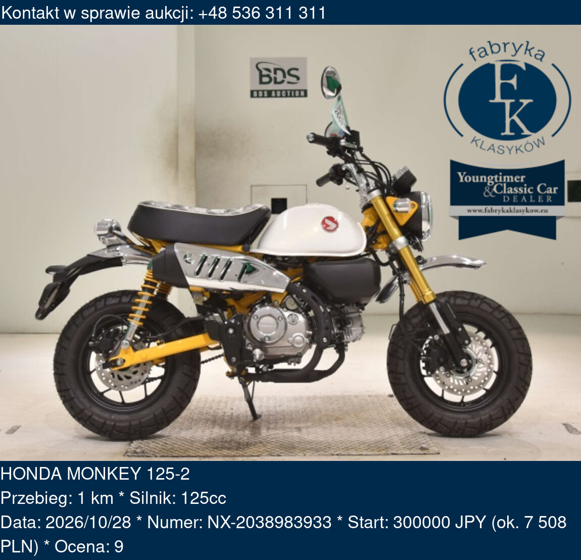 HONDA MONKEY 125-2  - zdjęcie 2