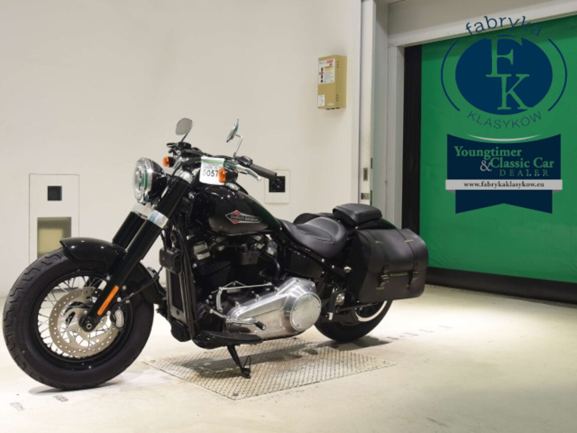 HARLEY-DAVIDSON FLSL1750 2018 - zdjęcie 5