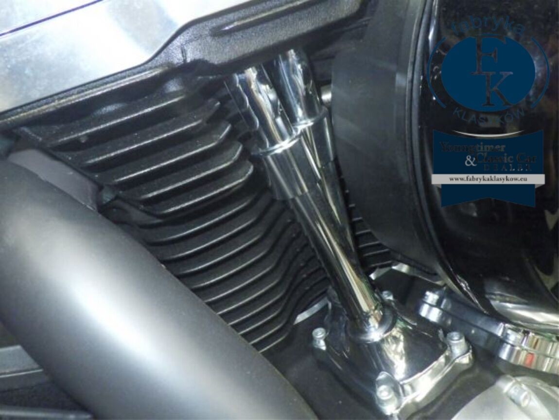HARLEY-DAVIDSON FLSL1750 2018 - zdjęcie 11