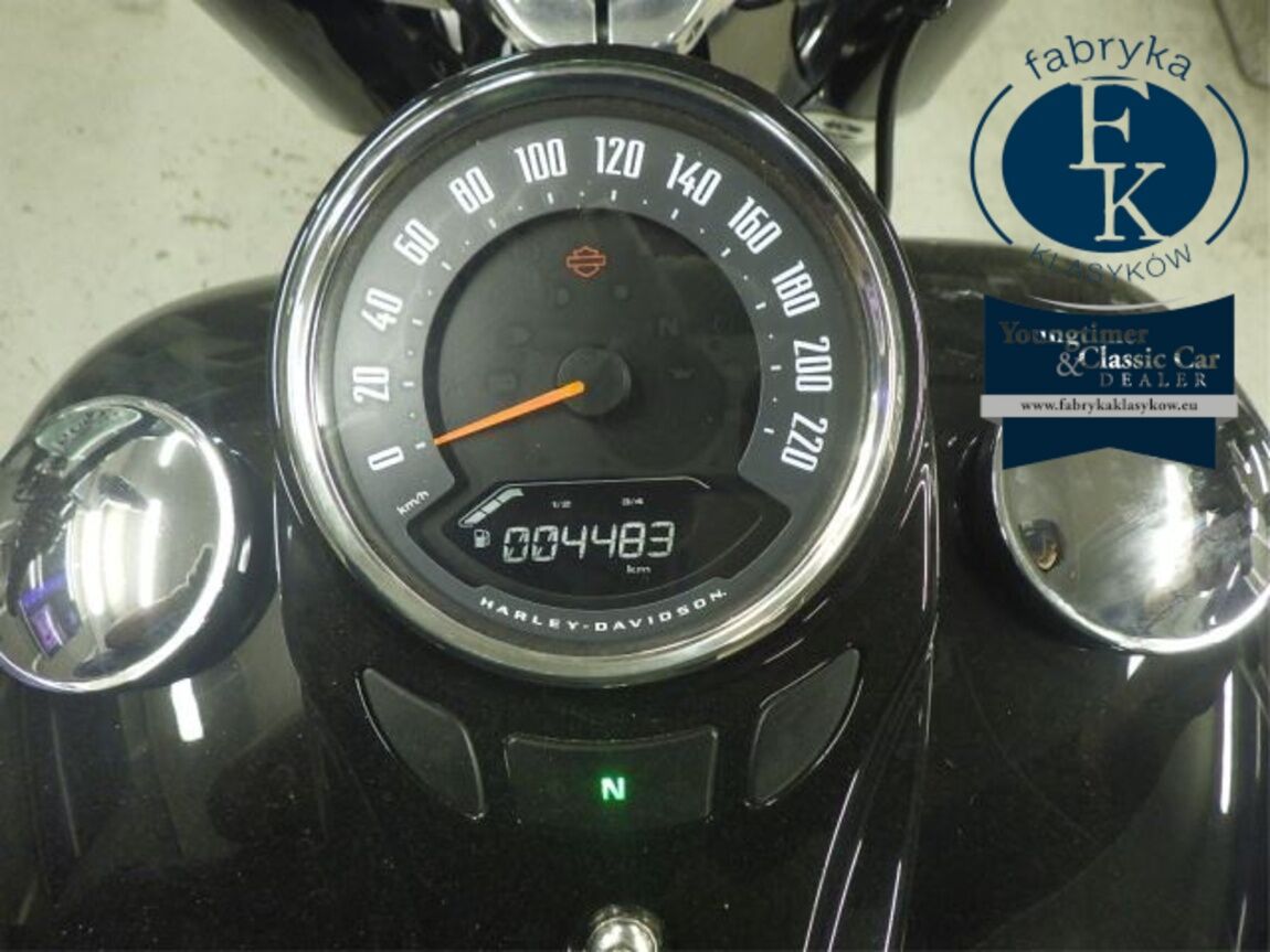 HARLEY-DAVIDSON FLSL1750 2018 - zdjęcie 15