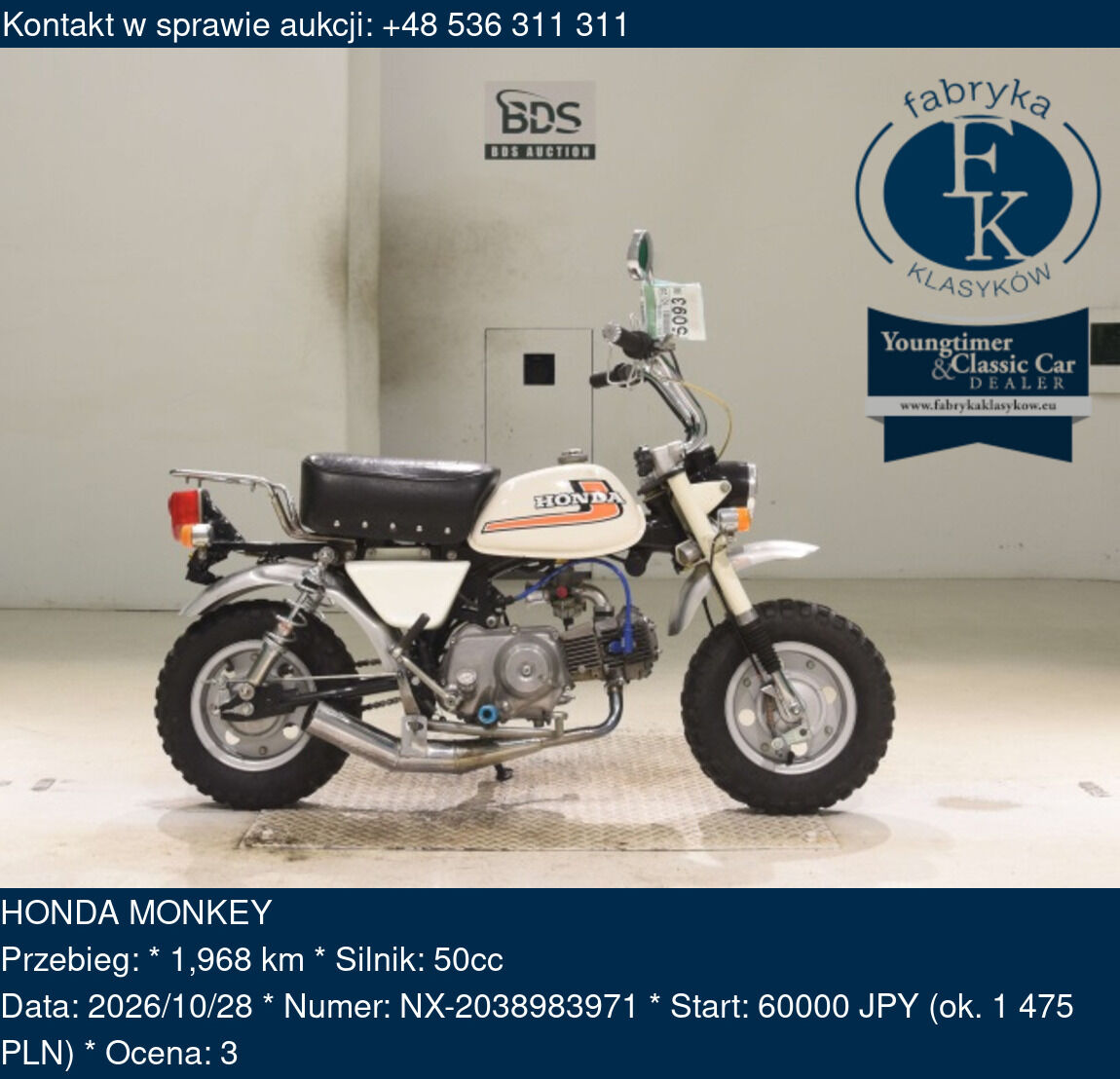 HONDA MONKEY  - zdjęcie 2
