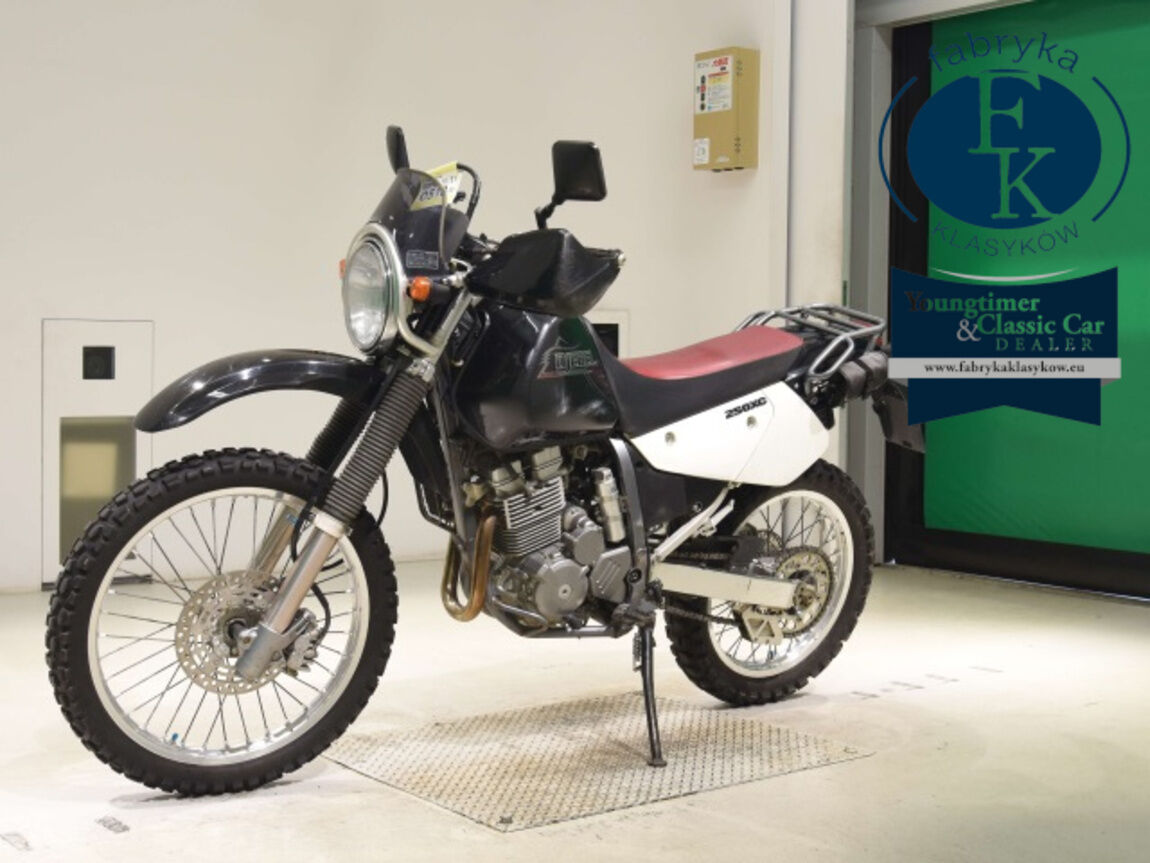 SUZUKI DJEBEL250XC  - zdjęcie 5