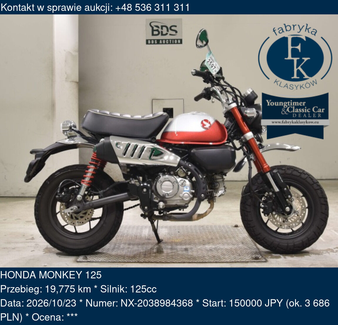 HONDA MONKEY 125  - zdjęcie 2