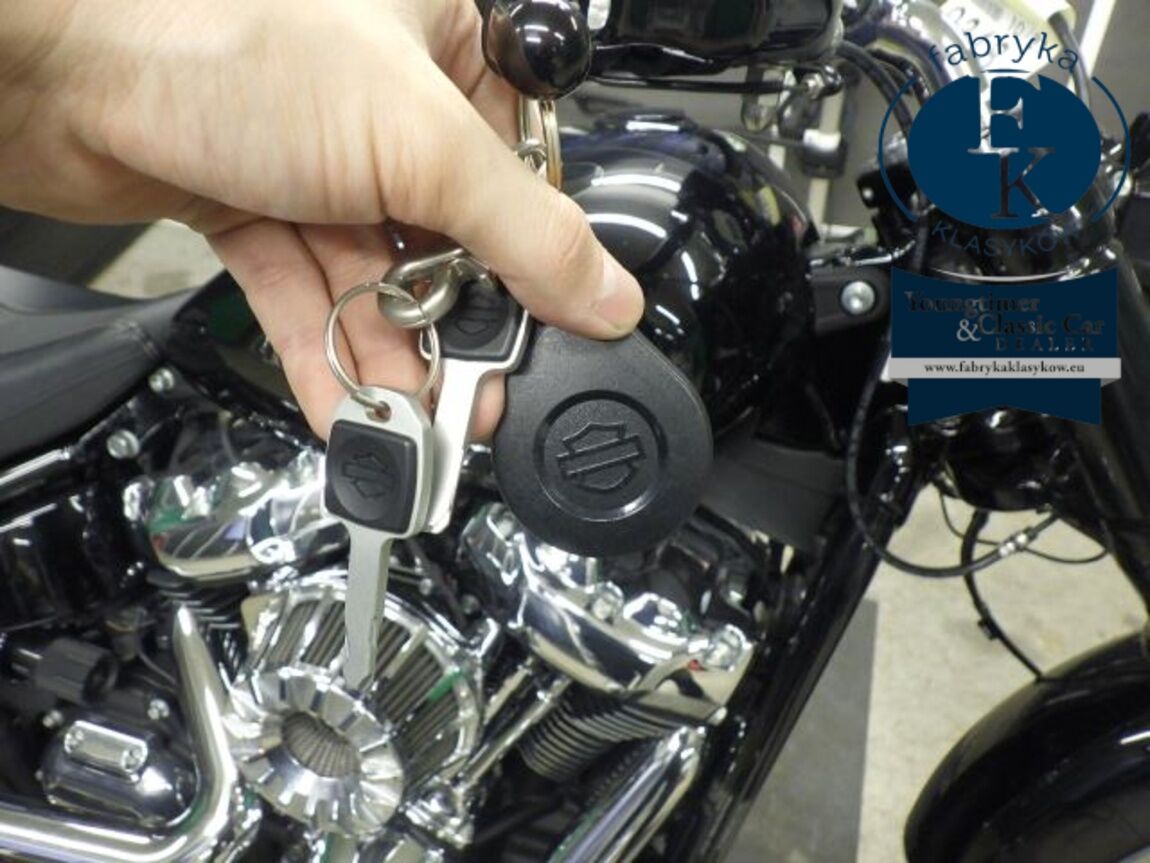 HARLEY-DAVIDSON FXBRS1870 2021 - zdjęcie 17