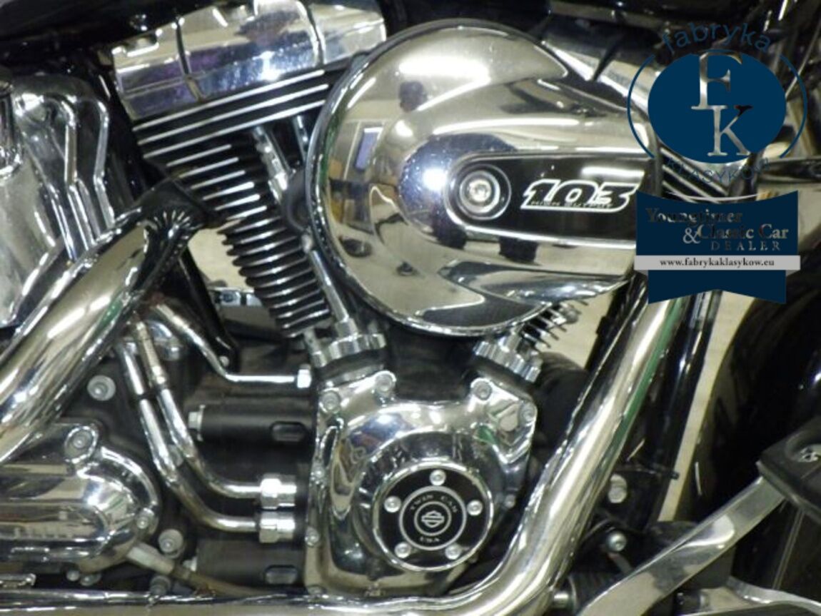 HARLEY-DAVIDSON FLSTN1690 2015 - zdjęcie 9
