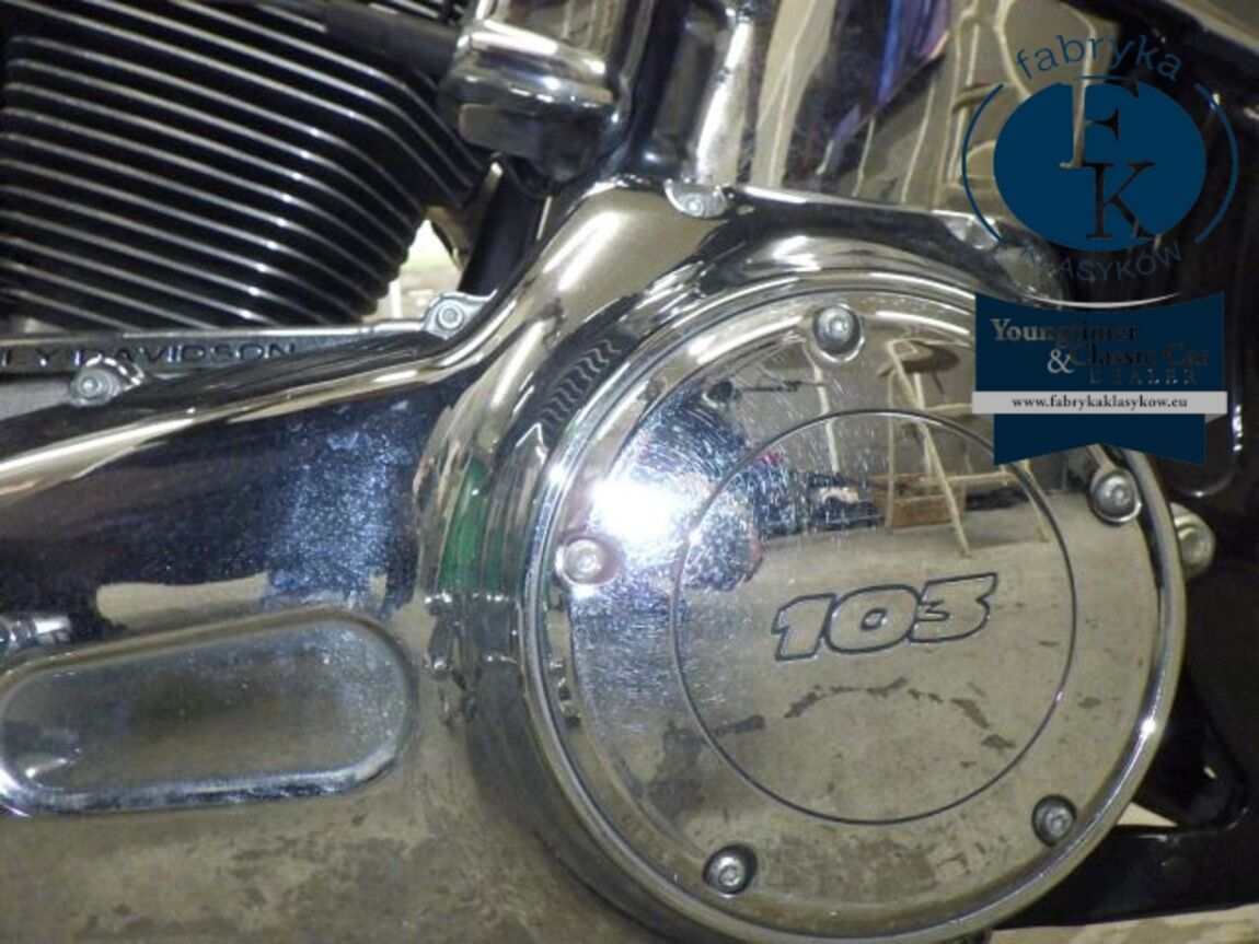 HARLEY-DAVIDSON FLSTN1690 2015 - zdjęcie 11