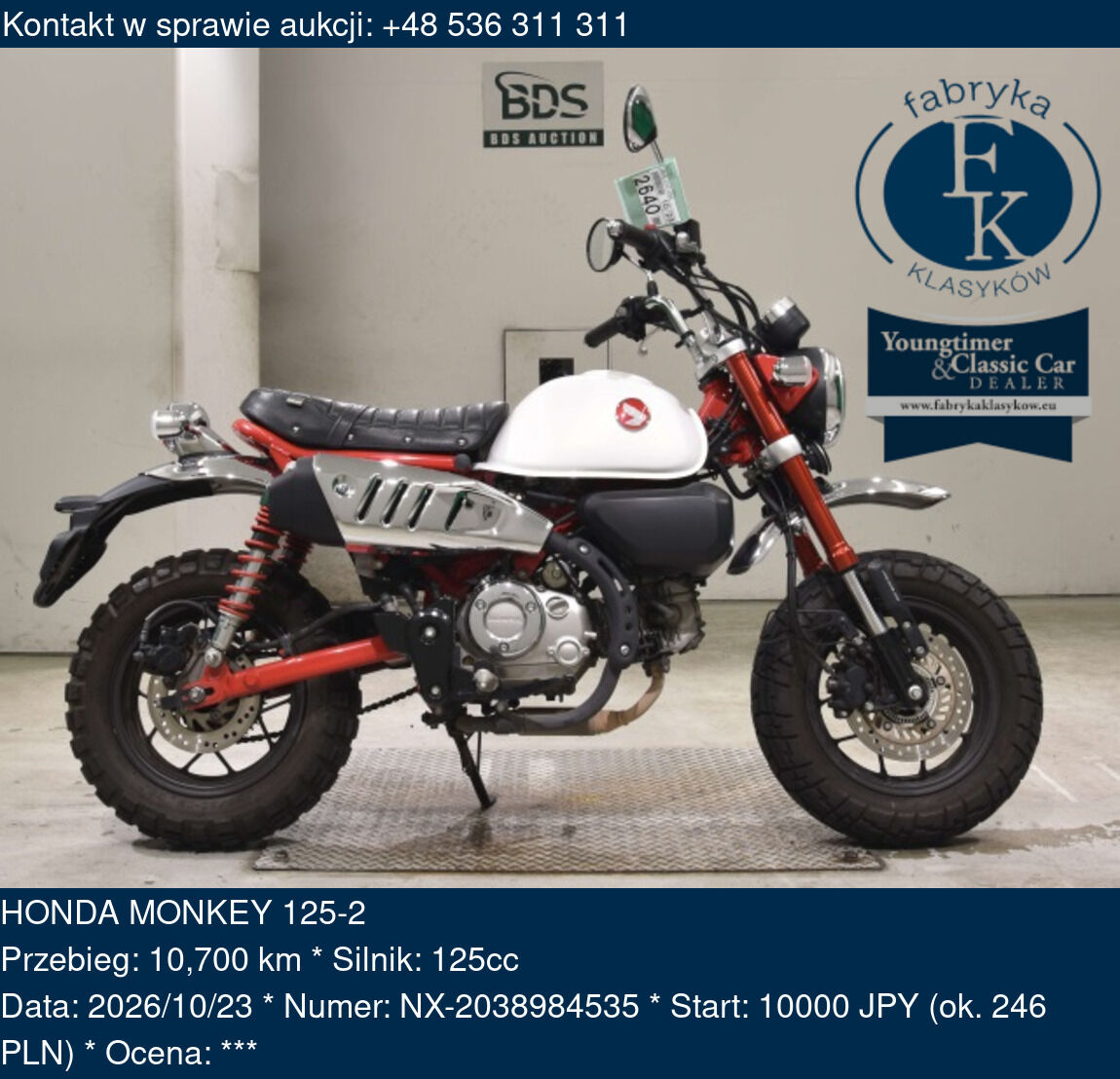 HONDA MONKEY 125-2  - zdjęcie 2