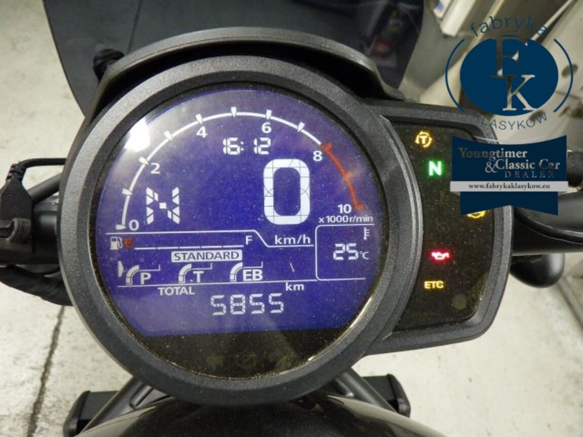 HONDA REBEL 1100D 2024 - zdjęcie 13