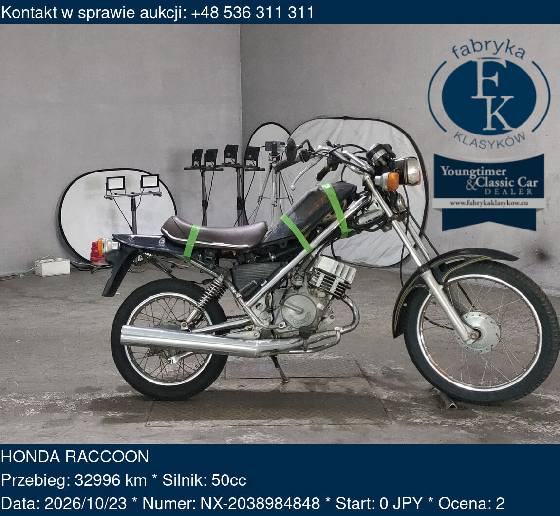 HONDA RACCOON  - zdjęcie 2