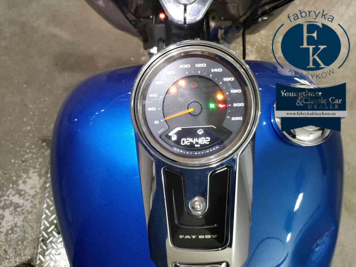HARLEY-DAVIDSON FLFB1920 2025 - zdjęcie 6