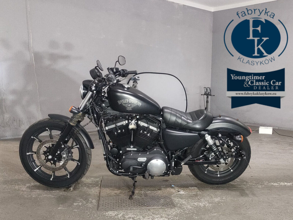 HARLEY-DAVIDSON XL883N 2018 - zdjęcie 3
