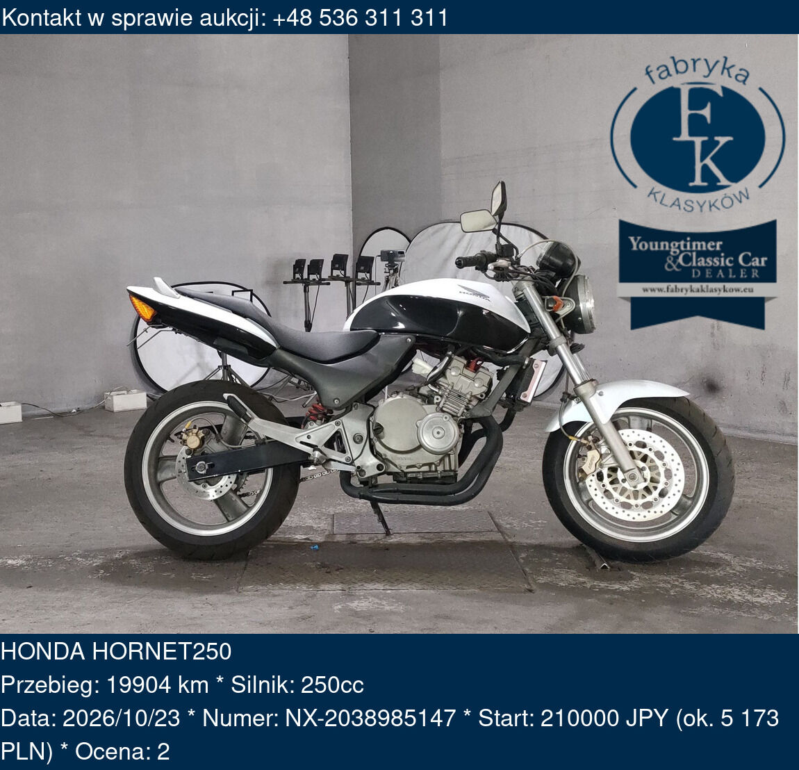 HONDA HORNET250  - zdjęcie 2
