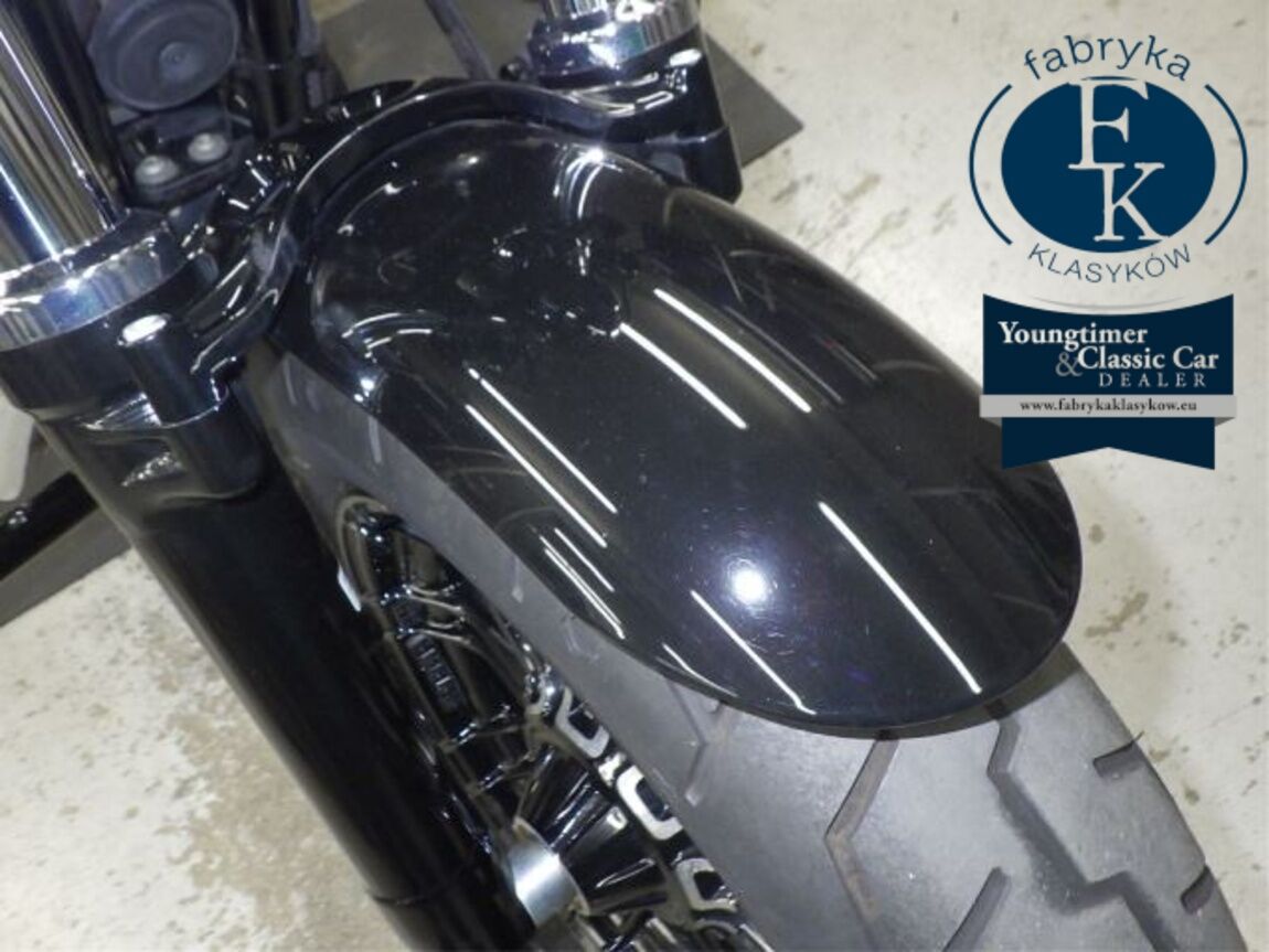 HARLEY-DAVIDSON XL1200X 2019 - zdjęcie 20