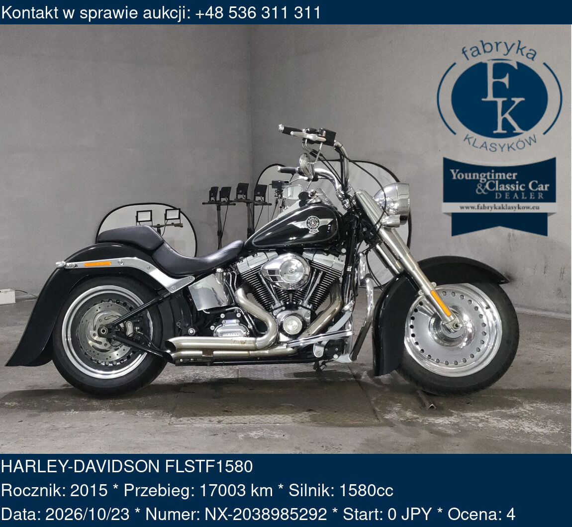 HARLEY-DAVIDSON FLSTF1580 2015 - zdjęcie 2