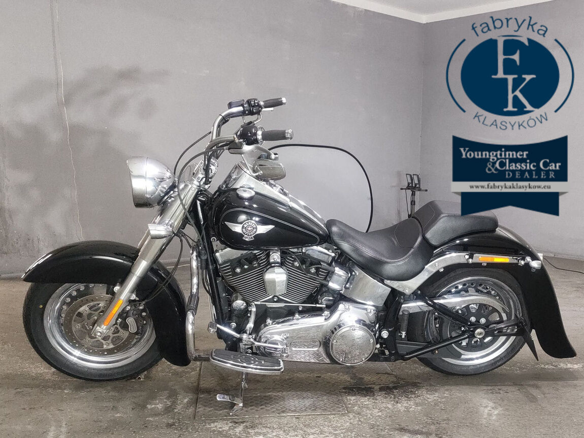 HARLEY-DAVIDSON FLSTF1580 2015 - zdjęcie 3