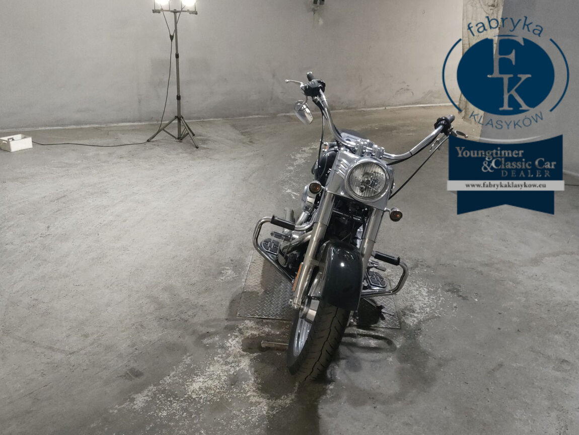 HARLEY-DAVIDSON FLSTF1580 2015 - zdjęcie 4