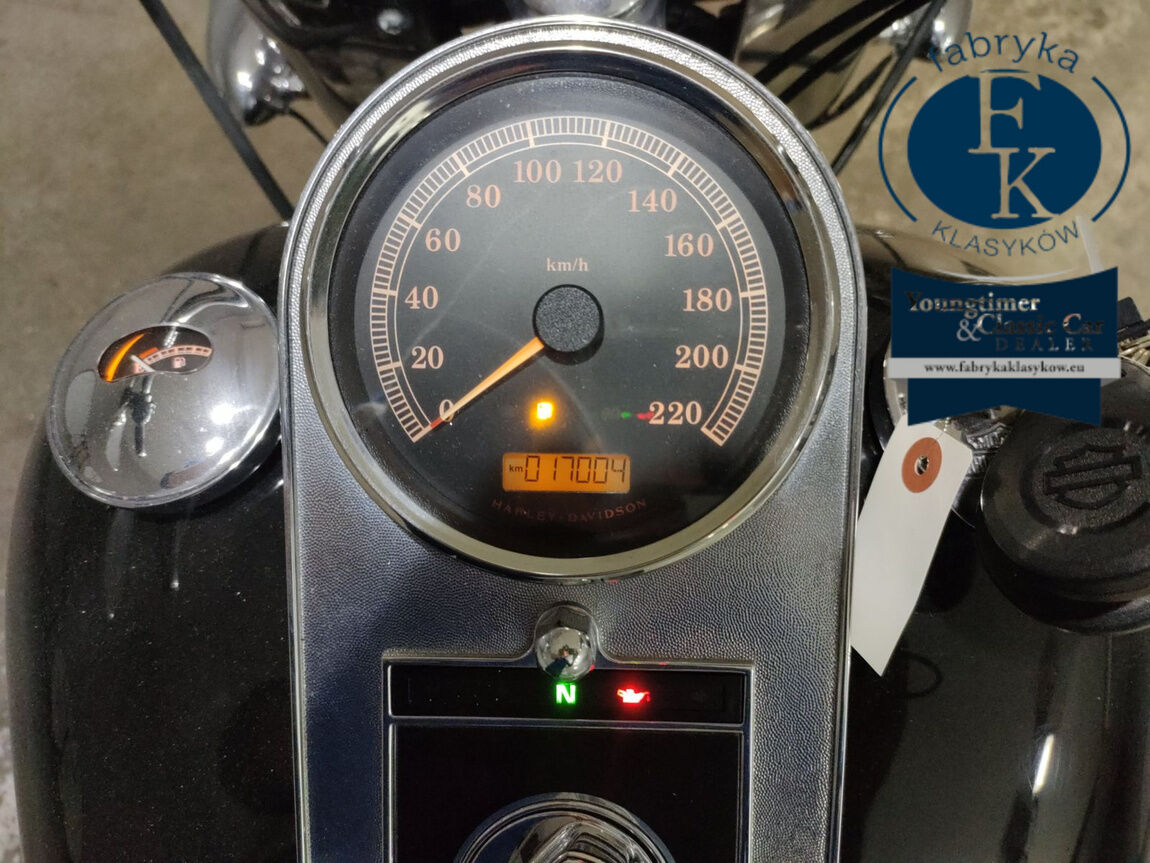 HARLEY-DAVIDSON FLSTF1580 2015 - zdjęcie 6