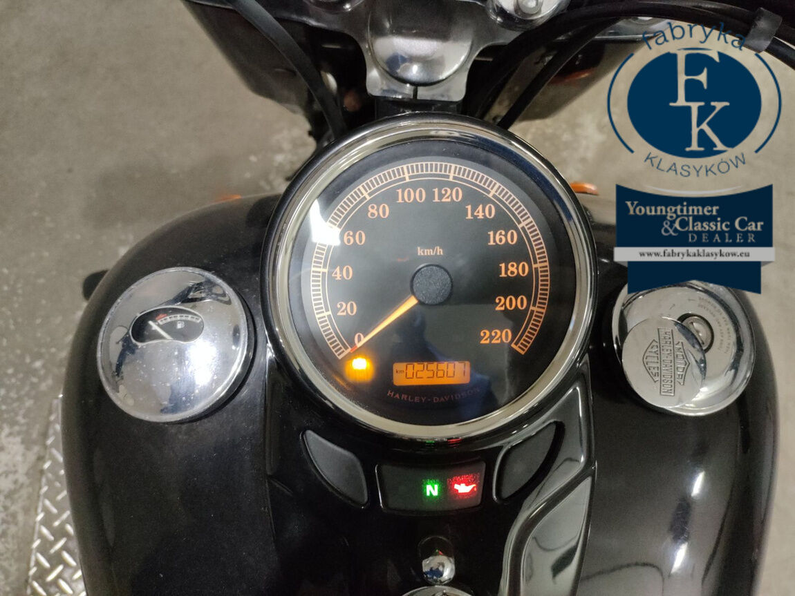 HARLEY-DAVIDSON FLS1580 2015 - zdjęcie 6