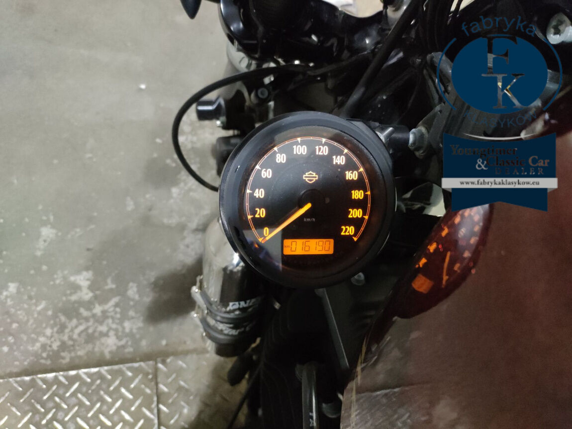 HARLEY-DAVIDSON XL1200X 2014 - zdjęcie 7