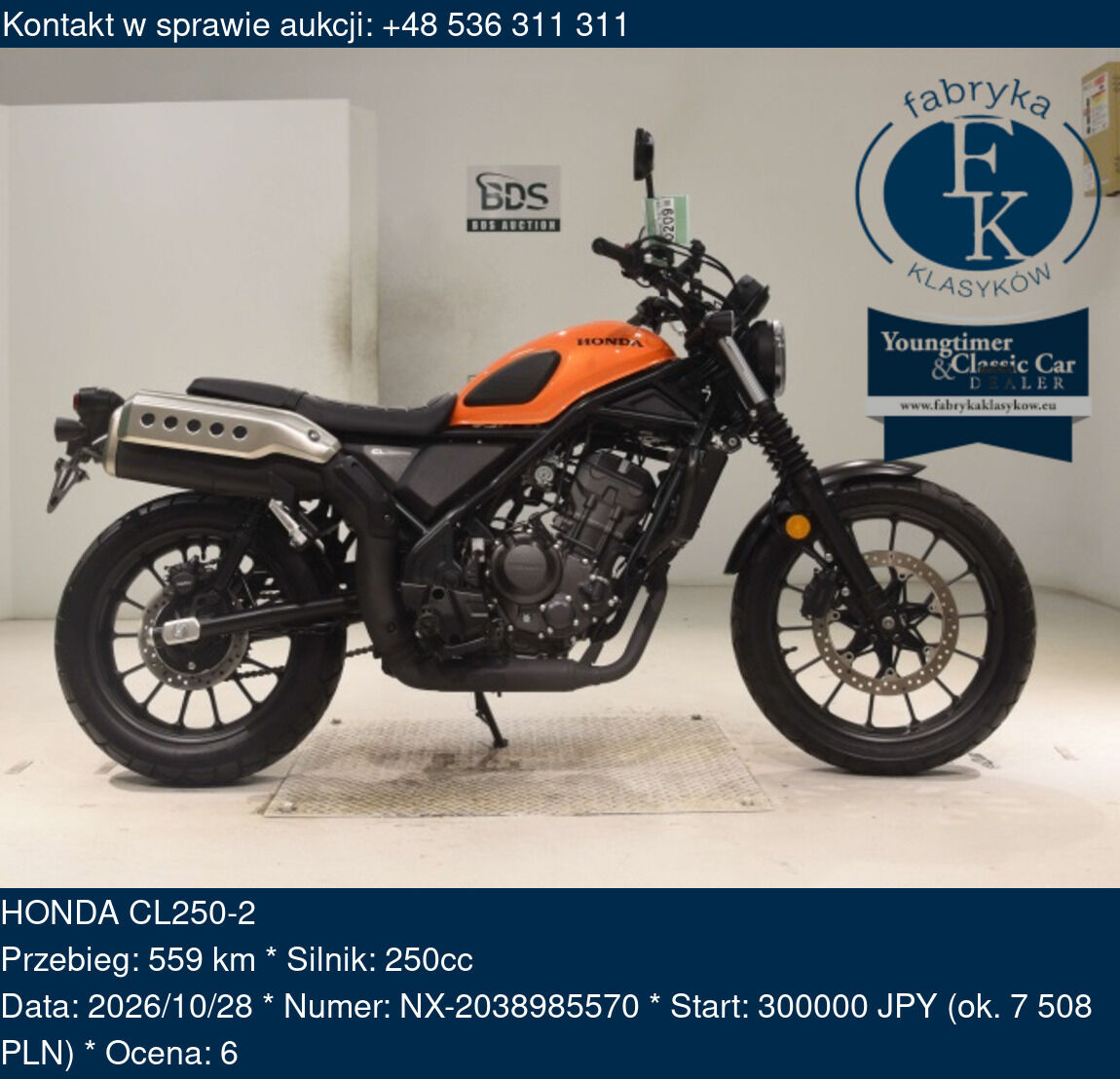 HONDA CL250-2  - zdjęcie 2