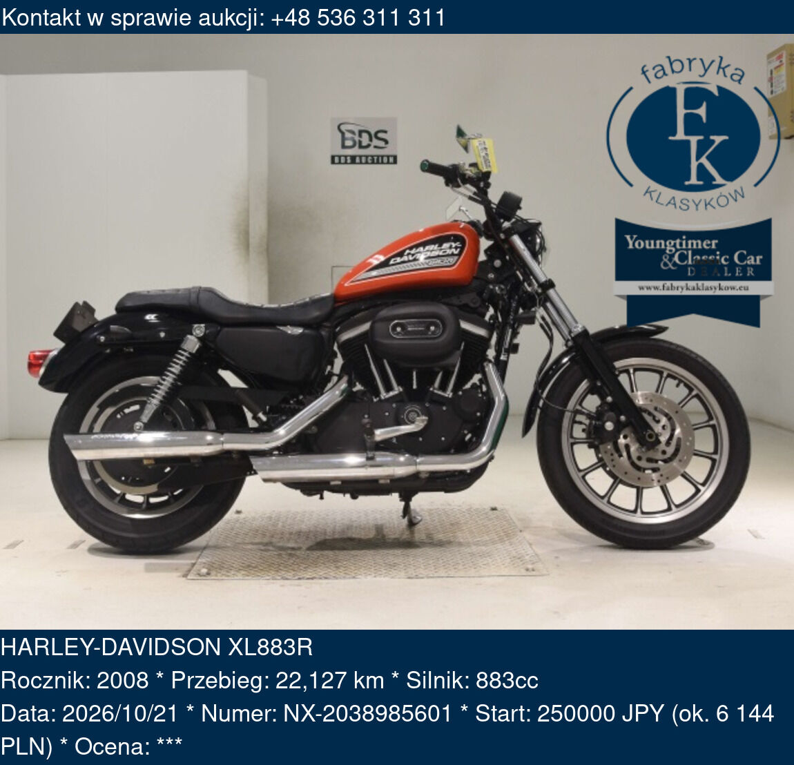 HARLEY-DAVIDSON XL883R 2008 - zdjęcie 2