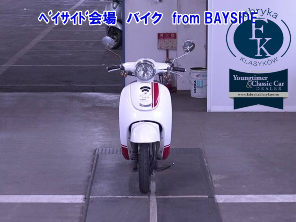 HONDA GIORNO  - zdjęcie 5