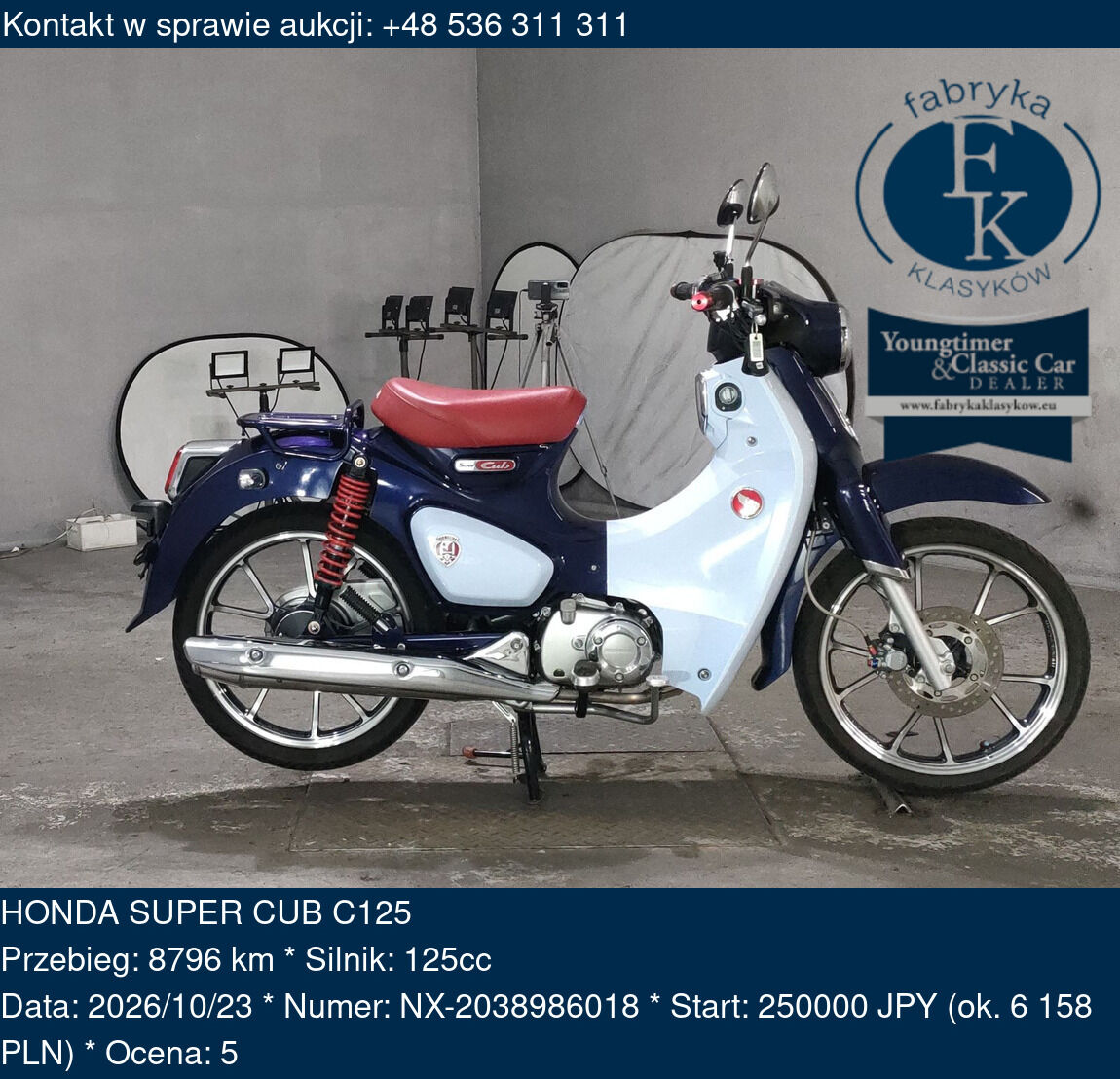 HONDA SUPER CUB C125  - zdjęcie 2