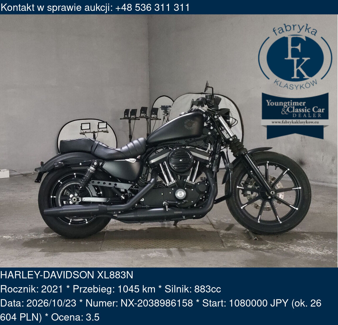 HARLEY-DAVIDSON XL883N 2021 - zdjęcie 2