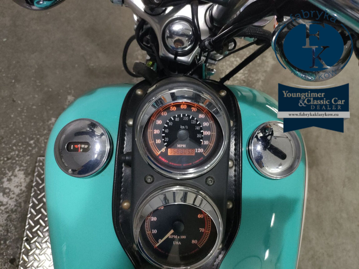 HARLEY-DAVIDSON FXDL1340 2015 - zdjęcie 6
