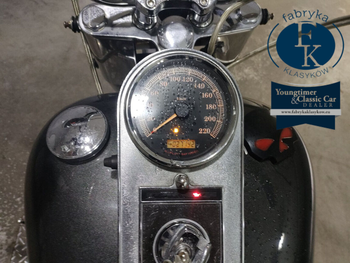 HARLEY-DAVIDSON FLSTF1580 2006 - zdjęcie 6