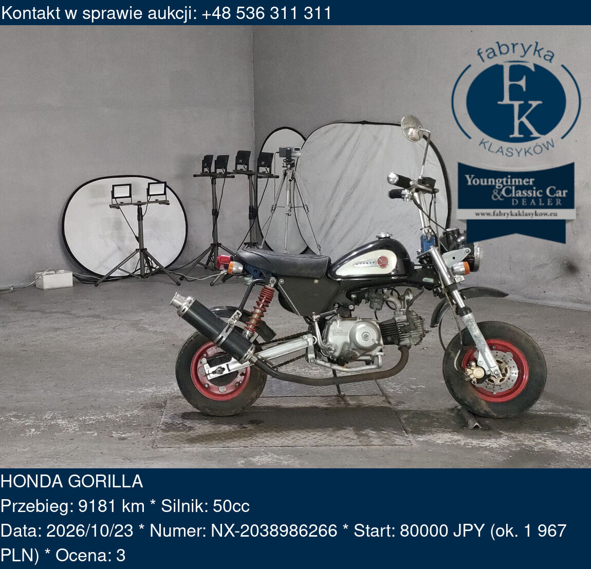 HONDA GORILLA  - zdjęcie 2