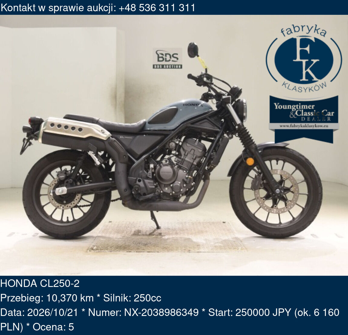 HONDA CL250-2 - zdjęcie 2