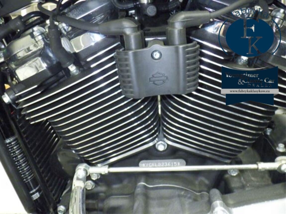 HARLEY-DAVIDSON FLFBS1870 2019 - zdjęcie 12