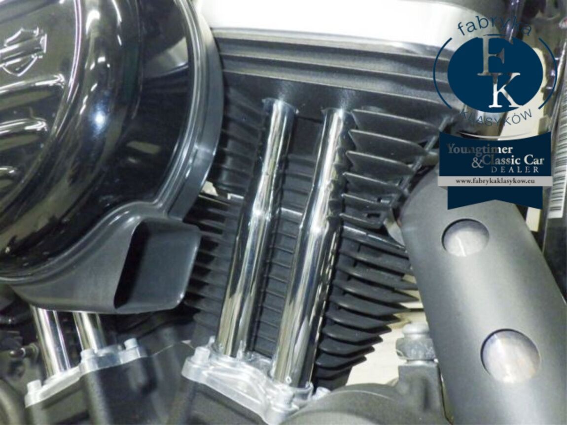 HARLEY-DAVIDSON XL883N 2020 - zdjęcie 10