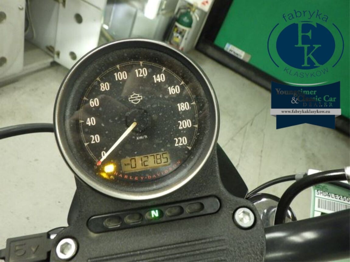 HARLEY-DAVIDSON XL883N 2020 - zdjęcie 16