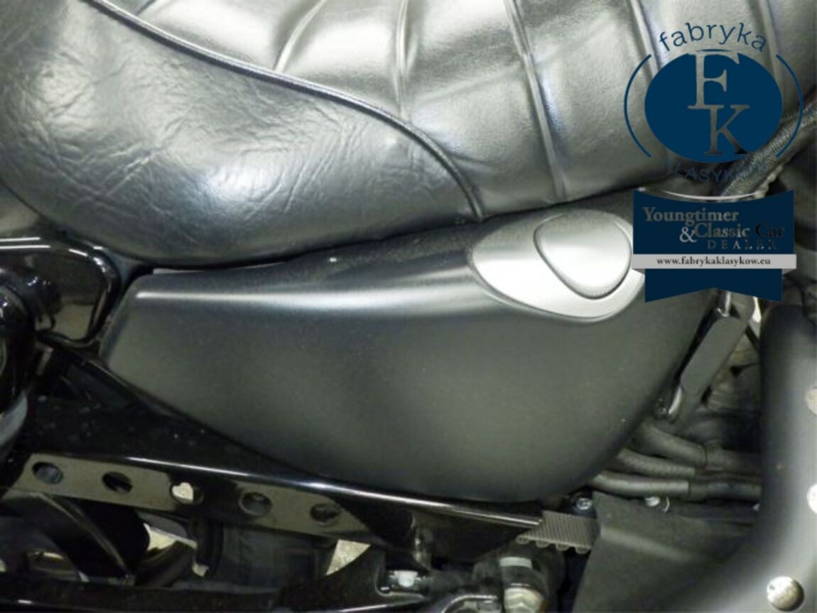 HARLEY-DAVIDSON XL883N 2020 - zdjęcie 19