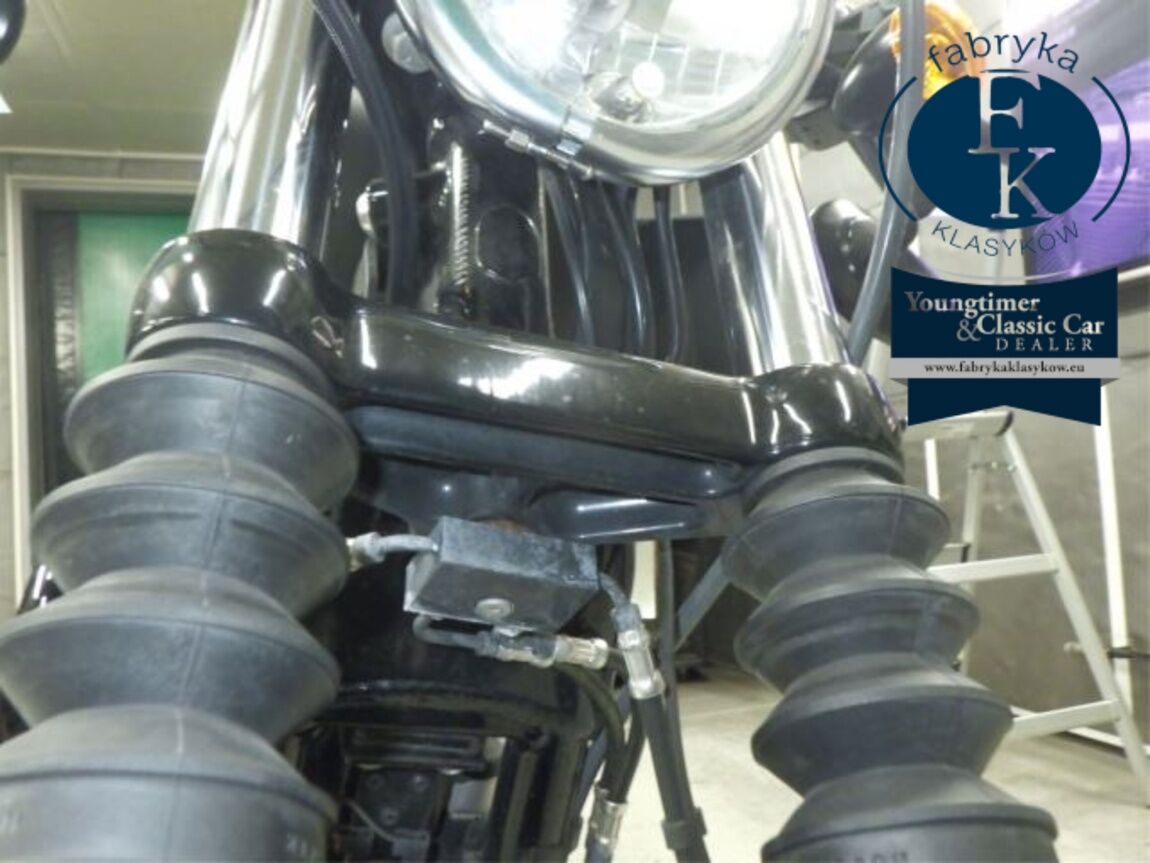 HARLEY-DAVIDSON XL883N 2020 - zdjęcie 21