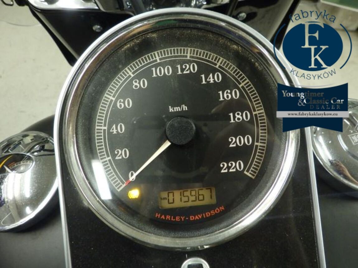 HARLEY-DAVIDSON FLSTFB1690 2016 - zdjęcie 13