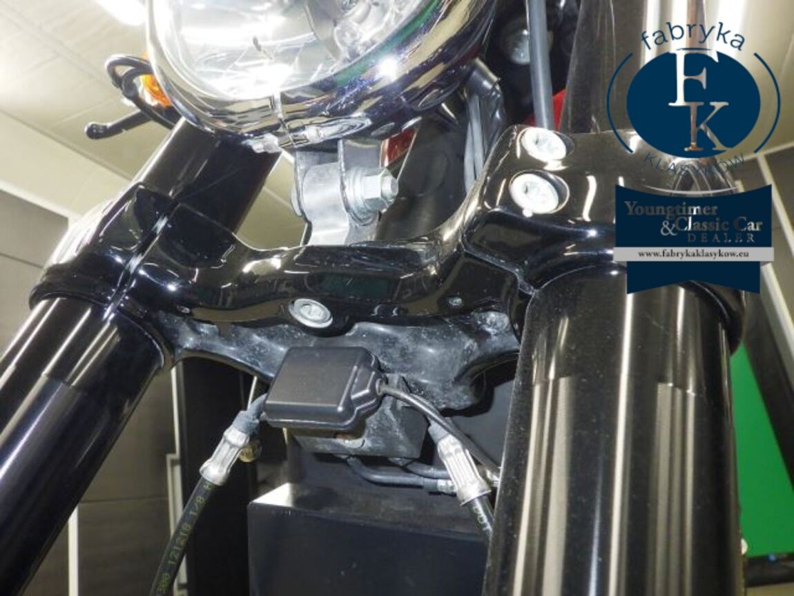 HARLEY-DAVIDSON XL1200CX 2019 - zdjęcie 21