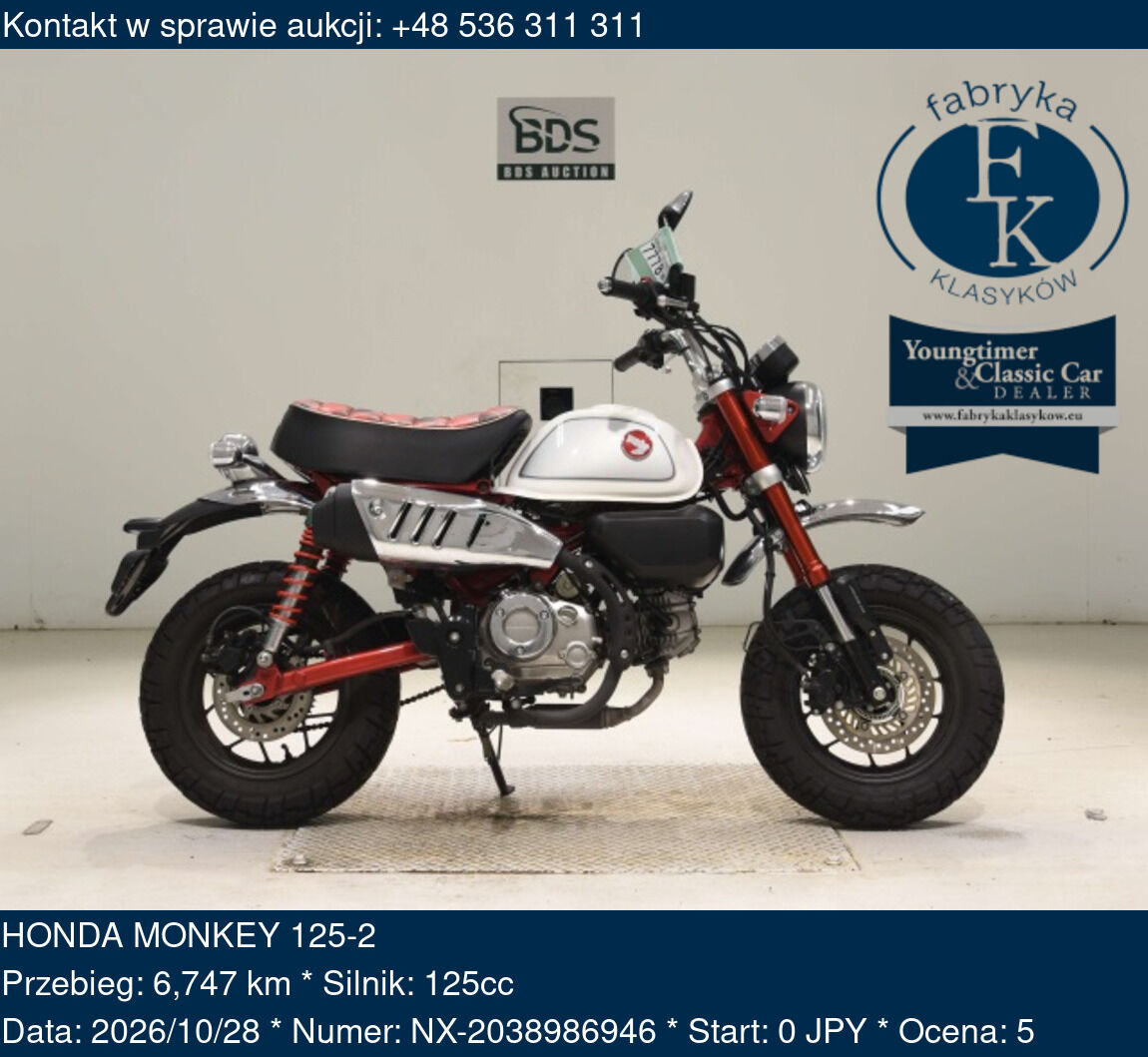 HONDA MONKEY 125-2  - zdjęcie 2